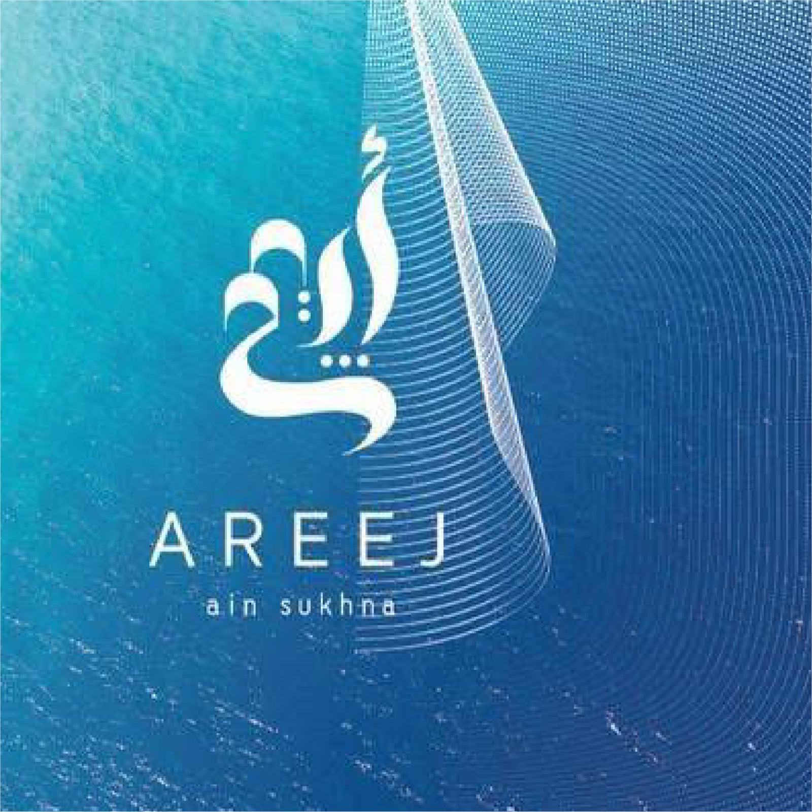 عميل 9